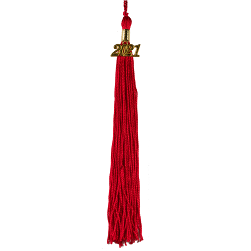 Graduation Tassels High School & College 9inch Graduation Tassels