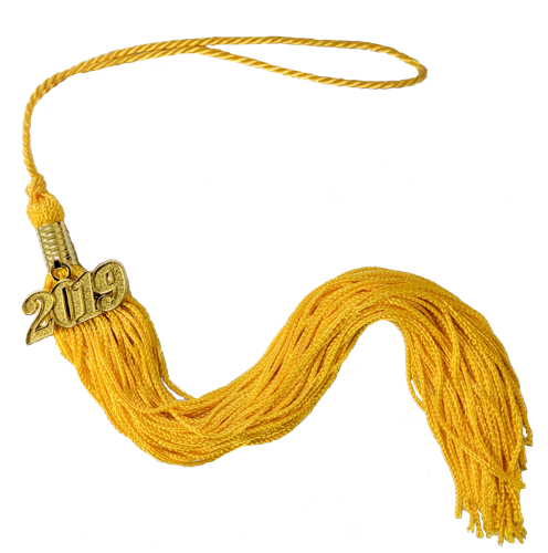 Graduation Tassels | High School & College 9inch Graduation Tassels